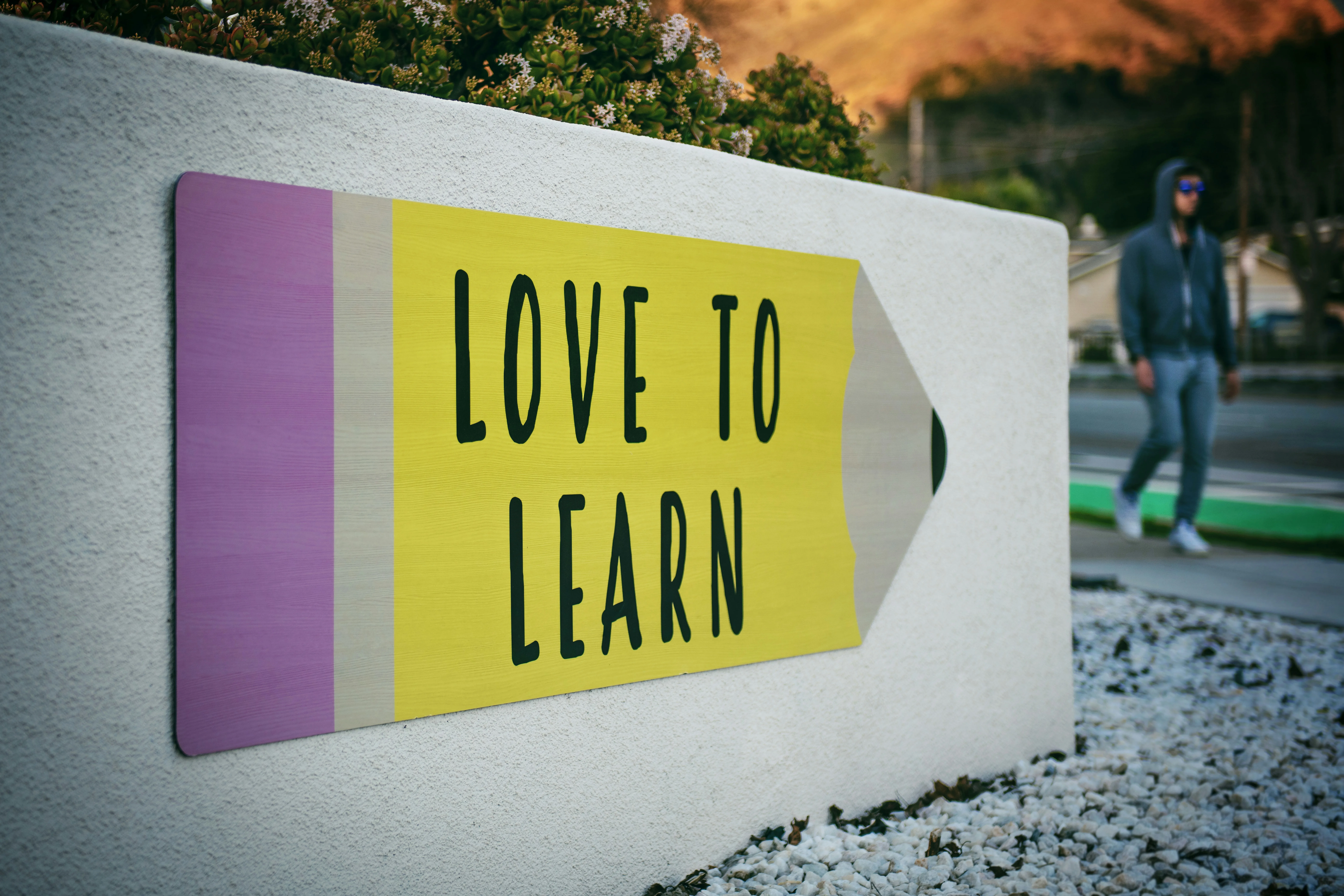 Merit-Based Scholarships in the US